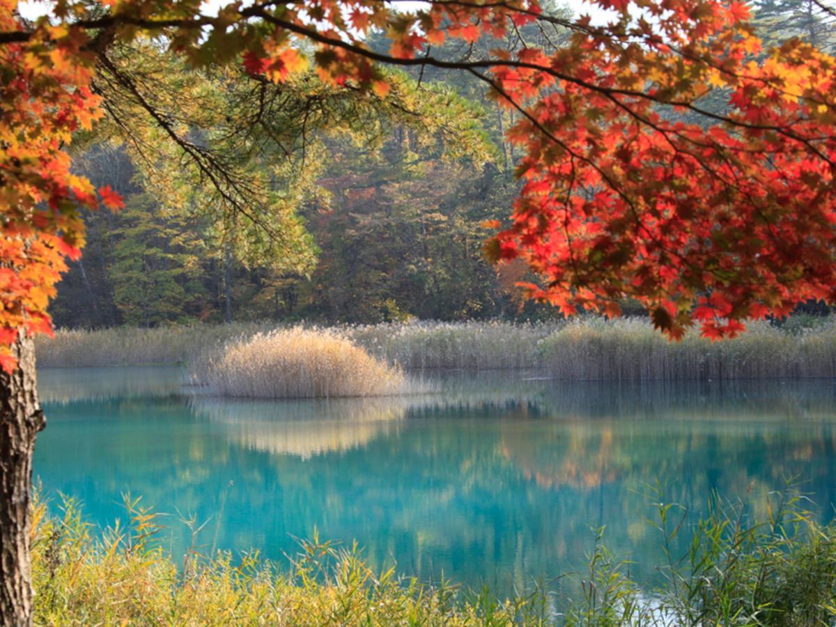 Urabandai Lake Resort Goshiki No Mori Kitashiobara Exterior foto