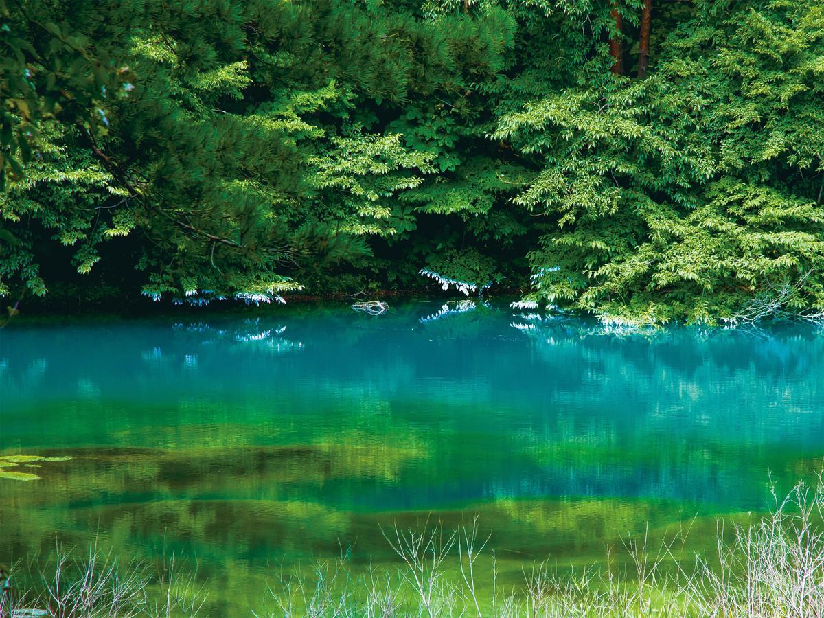 Urabandai Lake Resort Goshiki No Mori Kitashiobara Exterior foto